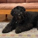 Watson