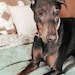 Millie