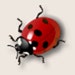 bugzStore