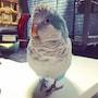 shop-member-photo