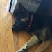 Lucy Jane