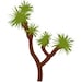 JoshuaTreeApparel