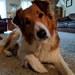 Frankie
