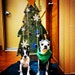 Phoebe and Wren