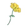 shop-member-photo