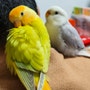 shop-member-photo