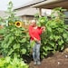 Sherrie, The Okra Lady LLC