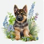 shop-member-photo
