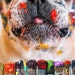 Artist in Training