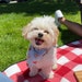 Bailey