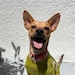 Benito
