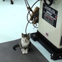shop-member-photo