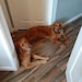 Lexi and Cooper