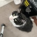 The Baby One