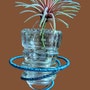 shop-member-photo