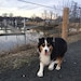 Macy