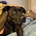 Maggie