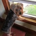 Charlie