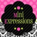 Mini Expressions