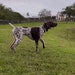 Billy