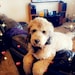 Benny