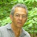 marvin furman