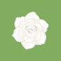 shop-member-photo