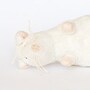 shop-member-photo