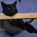PantherTheCat