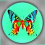 shop-member-photo