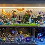 shop-member-photo