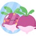 Turnip