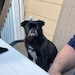 Charlie