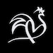 The Hen and Beyond (TJ)