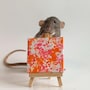 shop-member-photo