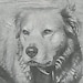Louie
