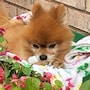 shop-member-photo