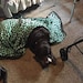 Hershey