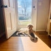 Barkley