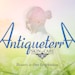 ANTIQUETERRA
