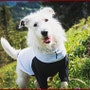 shop-member-photo