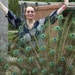 Dorene