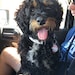 Jax