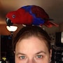 shop-member-photo