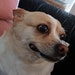 Jenny