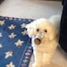 Lucy