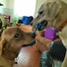 Zeus and Athena