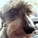 Baxter