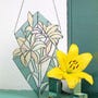 shop-member-photo