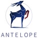 Antelope Puzzle